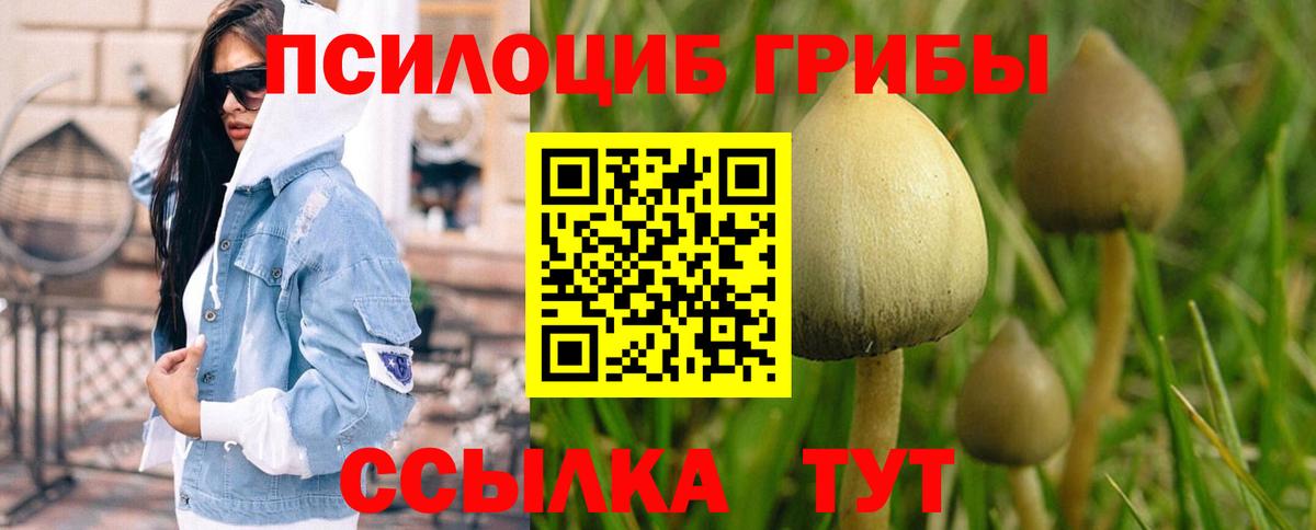 Псилоцибиновые грибы MAGIC MUSHROOMS  Вход с VPN  Галлюциногенные грибы Cubensis  Королёв 