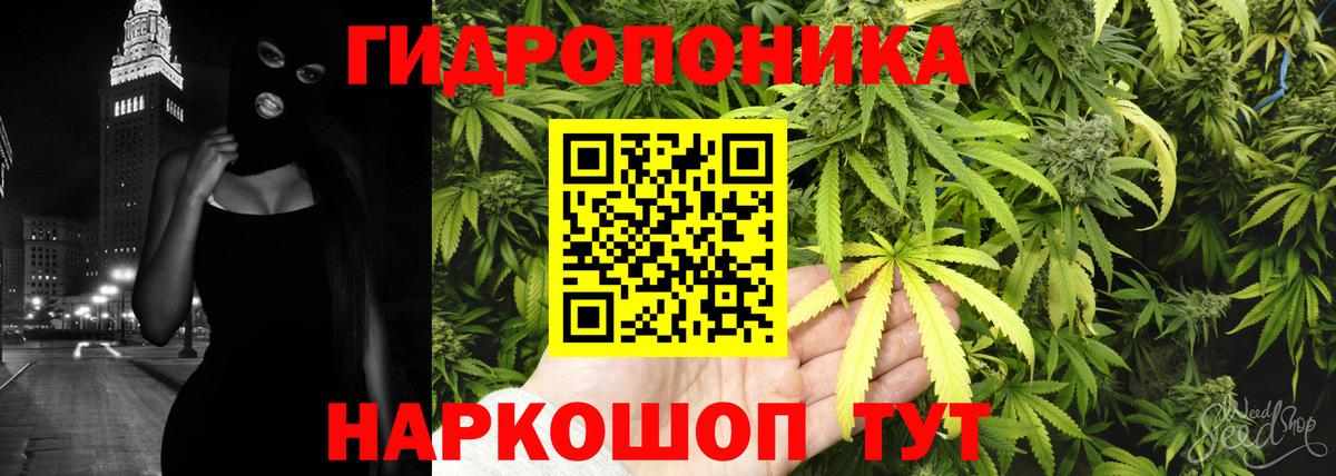 Королёв  Бошки марихуана тримм  Марихуана планчик  Вход с VPN  Марихуана VHQ  Канабис тримм 